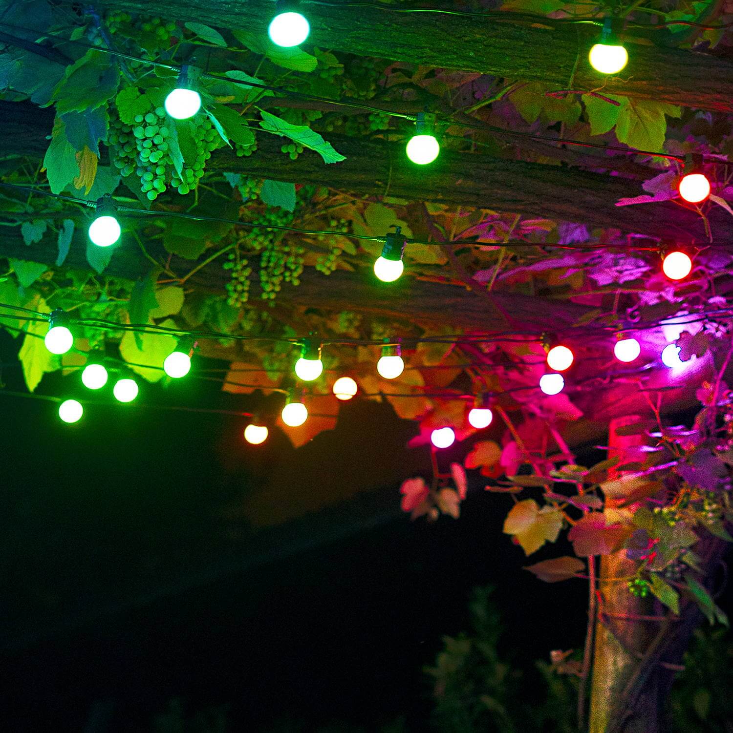 Ghirlanda Luminoasa Festoon cu 20 LEDuri 10m
